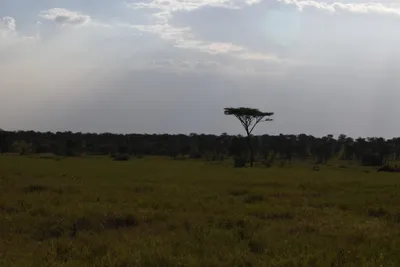 DSC_3693 (Large).JPG